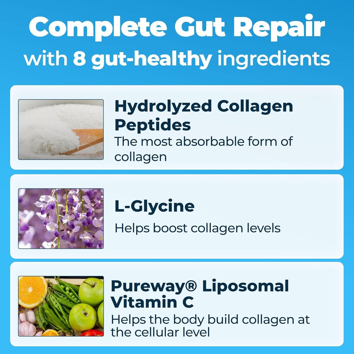 Prebiotic Collagen Protein