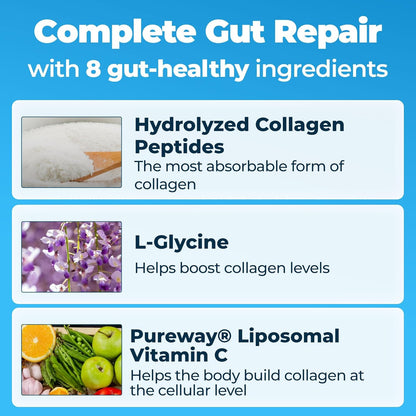 Prebiotic Collagen Protein